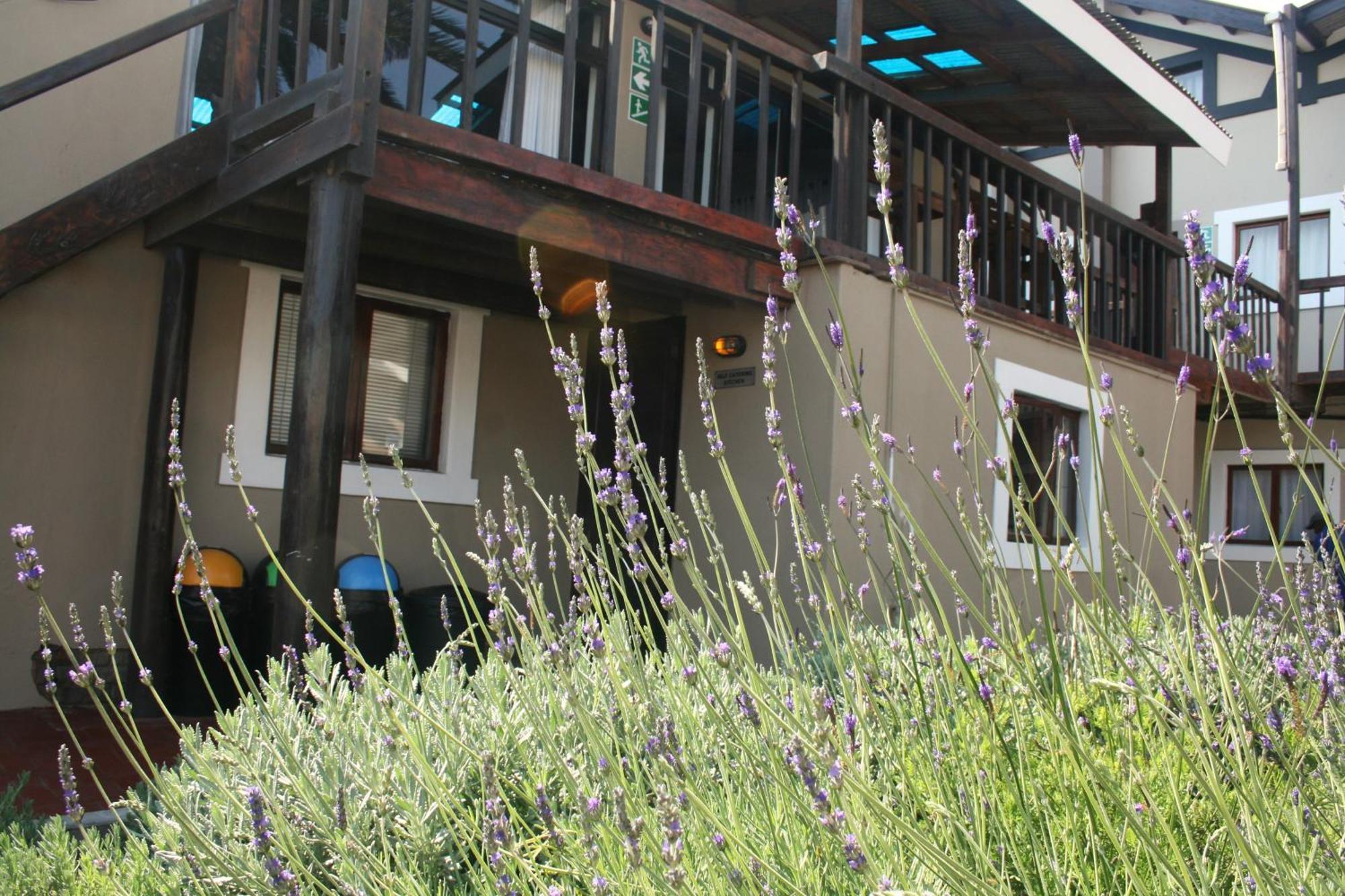 The Residence At Villa Wiese Swakopmund Bagian luar foto